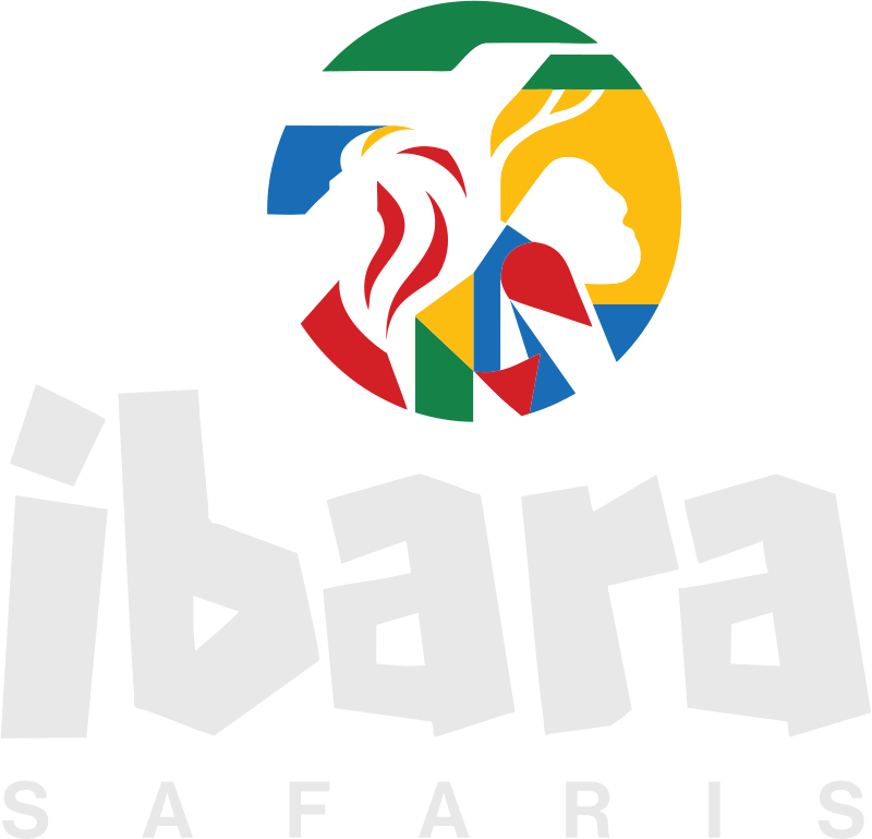 ibara safaris